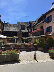 colmar2019deel2 (51)